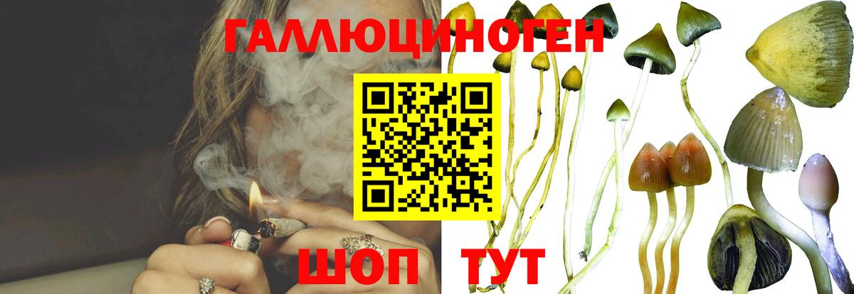 Галлюциногенные грибы Cubensis Заринск